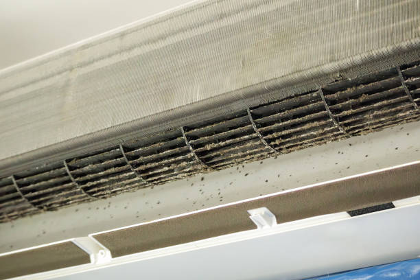 Best Duct Cleaning for Homes  in Vienna, GA